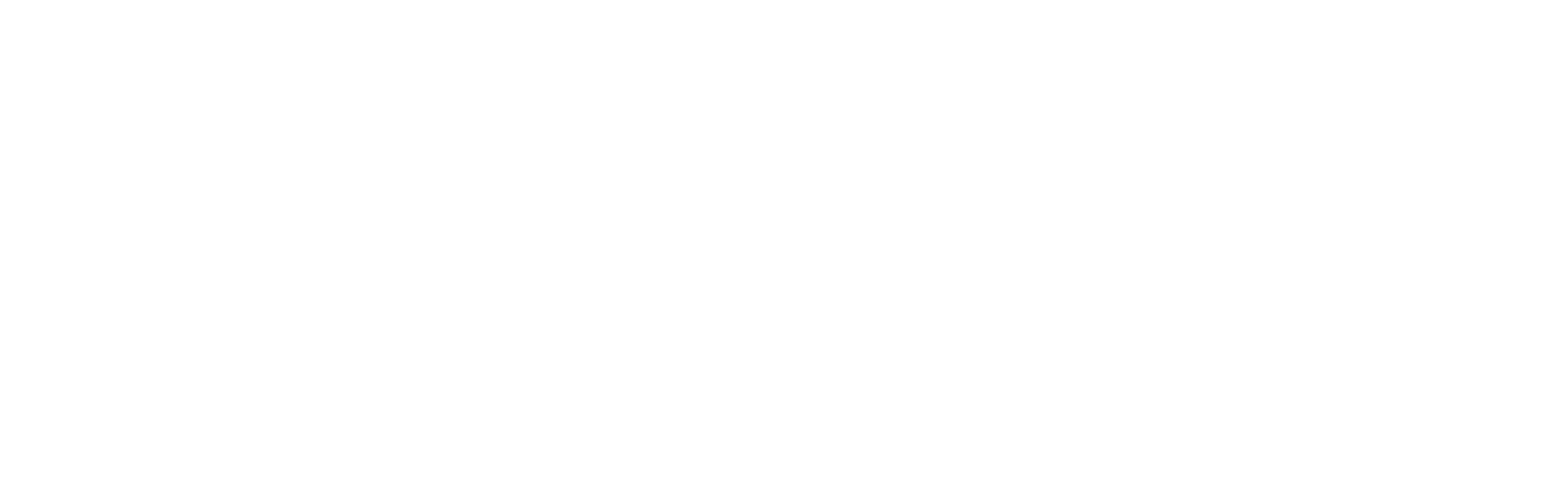 RBSN3D